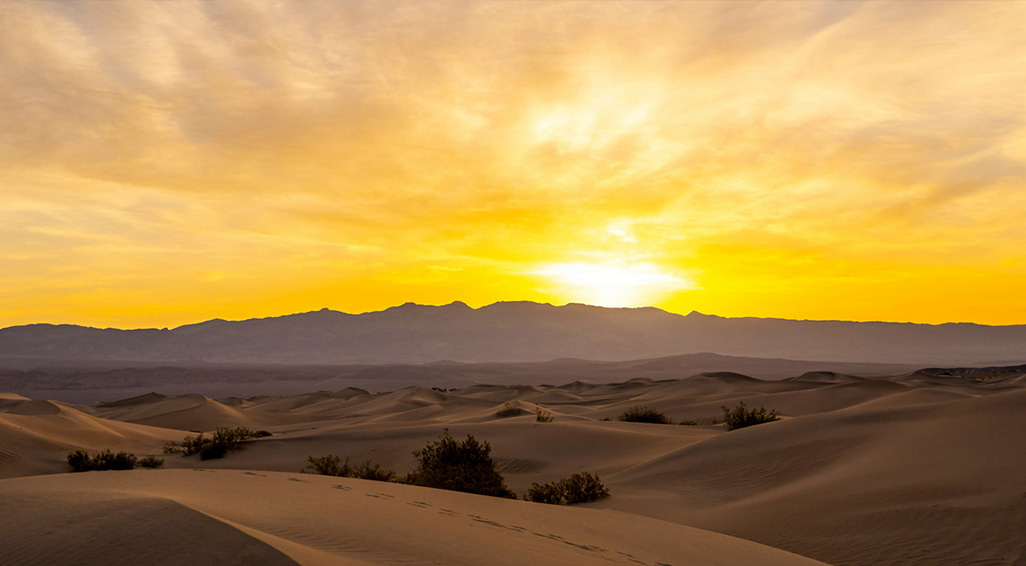 Douz Discovery Offer